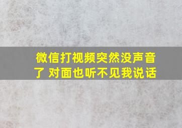 微信打视频突然没声音了 对面也听不见我说话